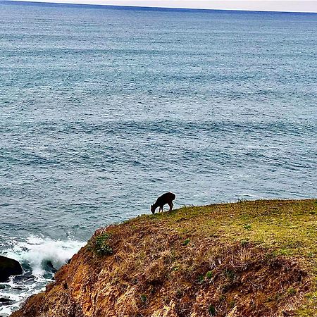 Inn Of The Lost Coast Shelter Cove Esterno foto