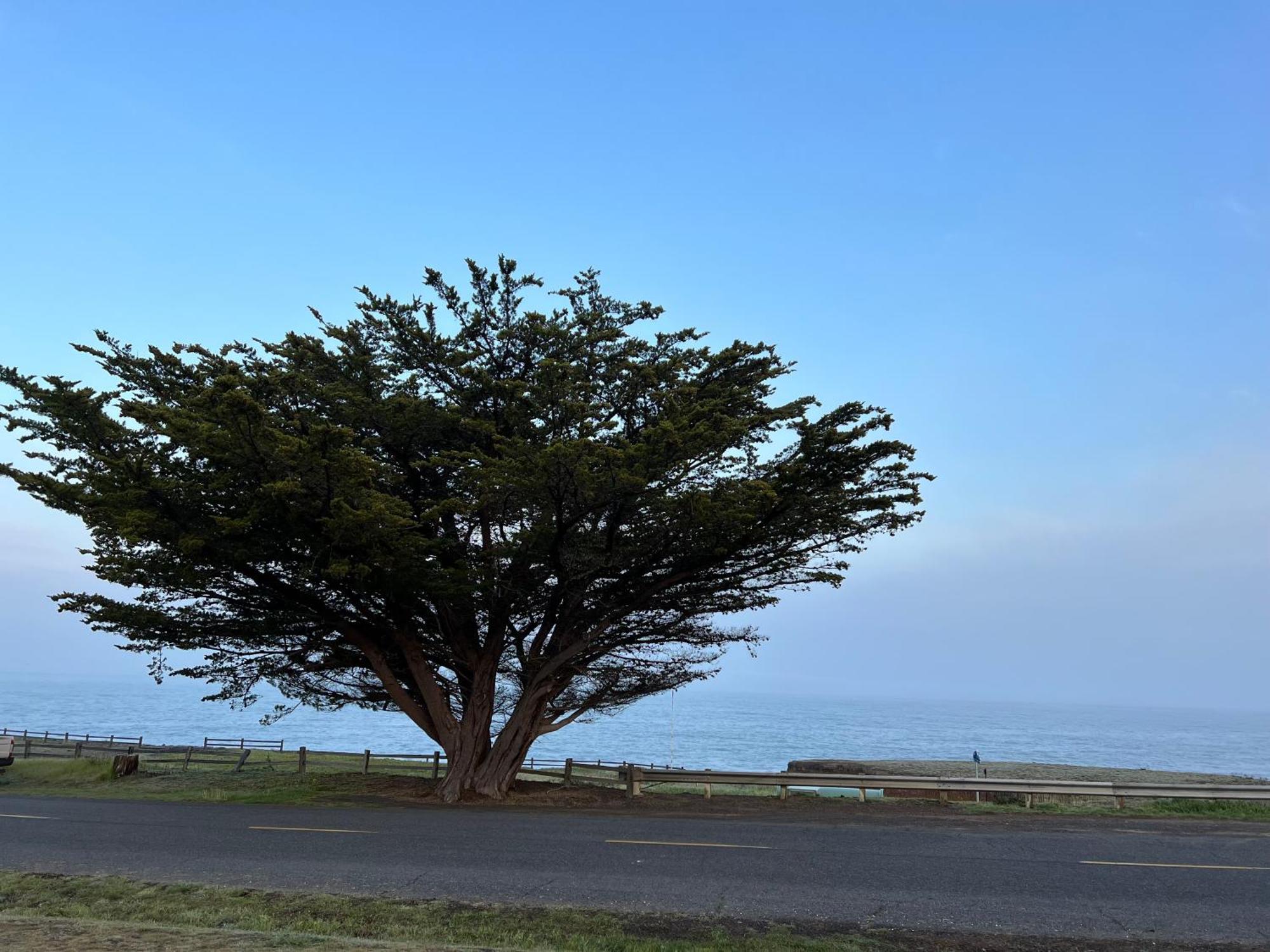 Inn Of The Lost Coast Shelter Cove Esterno foto